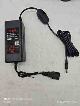 配槽王德力西无刷直流水泵充电器24V36V48V60V72V水泵充电器