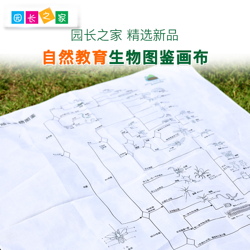 陆生生物图鉴/水生生物图鉴画布