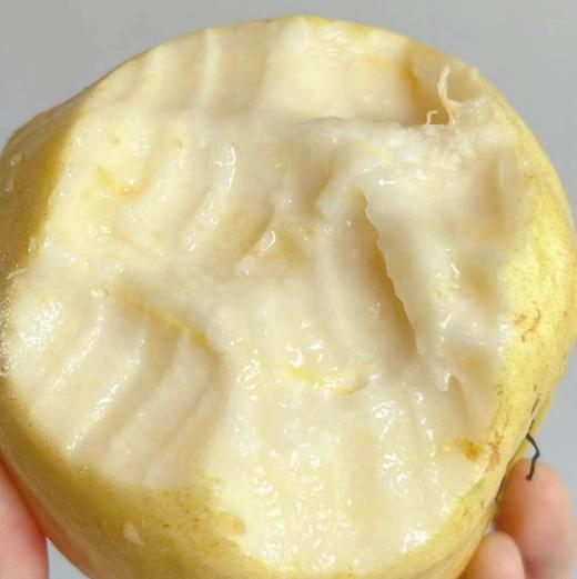 【满150元全疆包邮】双拼芭乐果 红心+奶油芭乐（2.5kg） 商品图1