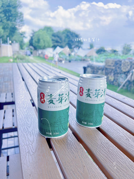 有机麦芽汁(箱规12罐) 商品图1