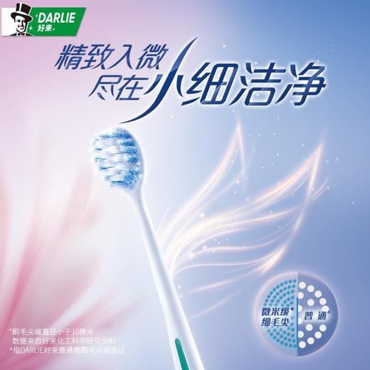 【品牌直发】好来(原黑人)小细洁净牙刷2支装成人小头女迷你刷头护龈纤细软毛-批发 商品图2
