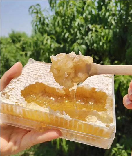 云南丽江永胜中华蜂土蜂蜜系列产品窝蜜/巢蜜/雪蜂/土蜂蜜多种规格 商品图0