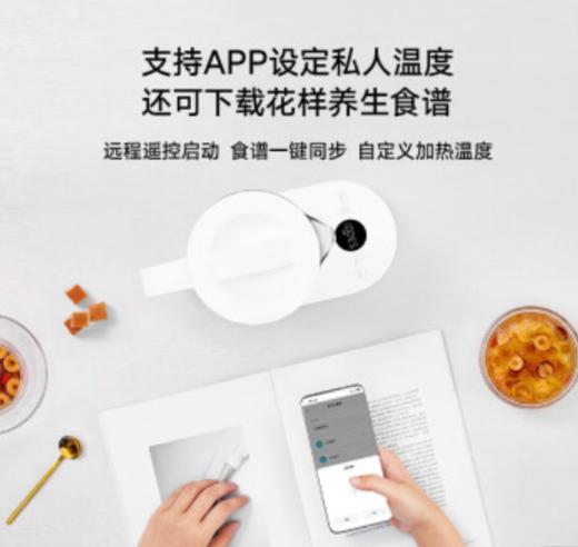 米家小米 米家智能养生壶电热水壶煮茶壶烧水壶大加热功率多档火力调节安全防干烧 商品图1