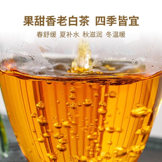 【积分兑换】澜沧古茶2023年陈皮白茶礼盒云南贡眉老白茶2g*48 商品图3