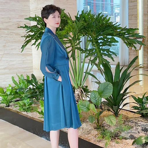 圣三利女装 连衣裙SL121L13 商品图1