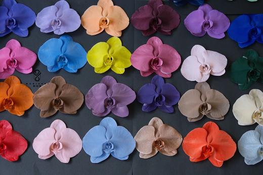 可利美色彩大师优质鲜花喷漆【450ML/快递发货】3瓶起发 商品图2