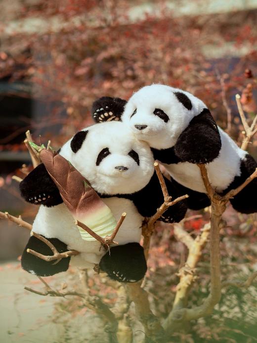 熊猫崽崽公仔 商品图7