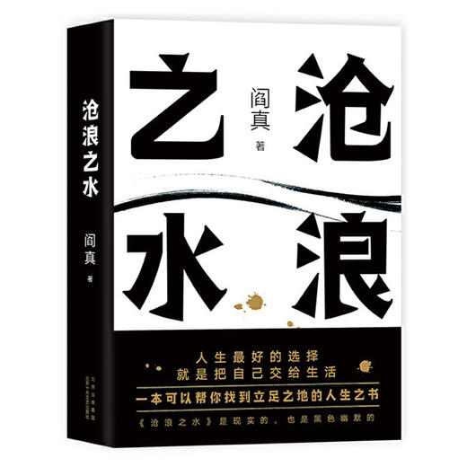 沧浪之水（某瓣8.5分，入围茅盾文学奖。职场小白、考公人的启蒙之书。胡军、于和伟主演电视剧岁月原著。2021版） 商品图0