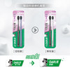 【品牌直发】好来黑人密护龈牙刷2支装T59软毛高密牙齿清洁口腔护龈孕妇牙刷批发 商品缩略图2