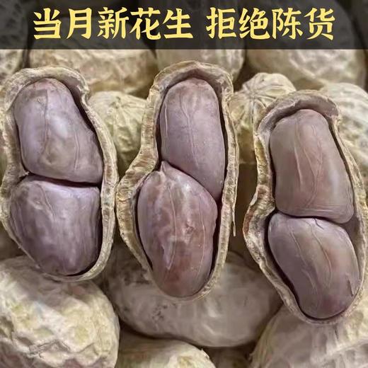 【当月新花生！好吃不上火】龙岩花生特产香酥蒜香五香水煮晒干咸干熟花生米休闲坚果炒货零食-觅食坊健康 商品图0