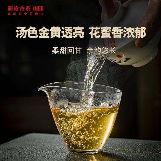 澜沧古茶2015年古韵醇砖普洱茶生茶（150g） 商品图2