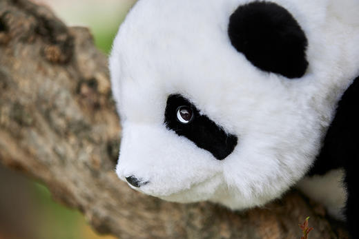 熊猫崽崽公仔 商品图12