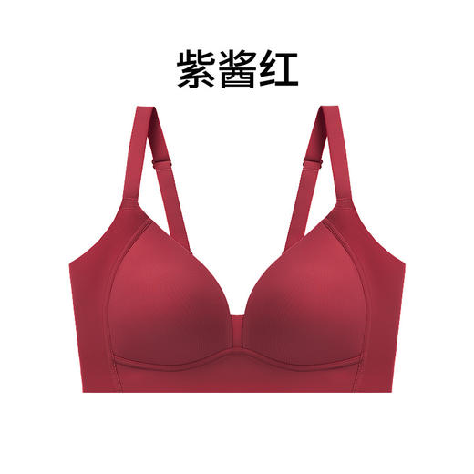 TG-TG02S202秋冬真丝光面无钢圈文胸薄款微收副乳大胸显小桑蚕丝内衣 商品图5