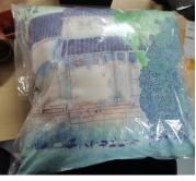 春意江南 商品图0