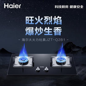 海尔（Haier）灶具 JZT-Q2B1(12T)