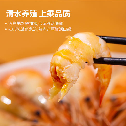 海天下罗氏沼虾500g*2 商品图3