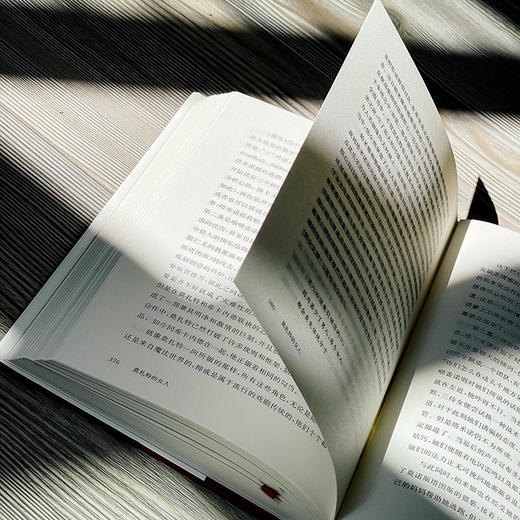 莫扎特的女人 他的家庭、朋友和音乐 独角兽文库 精装 莫扎特传记 经典文学 商品图12