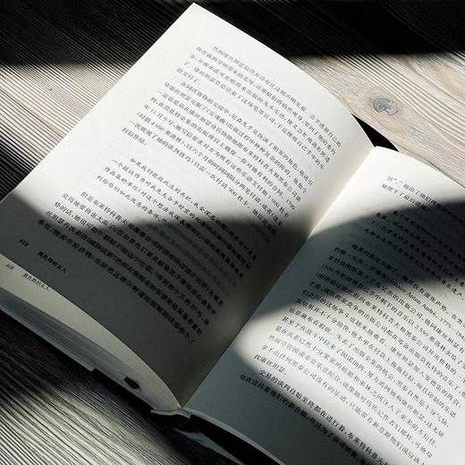 莫扎特的女人 他的家庭、朋友和音乐 独角兽文库 精装 莫扎特传记 经典文学 商品图14