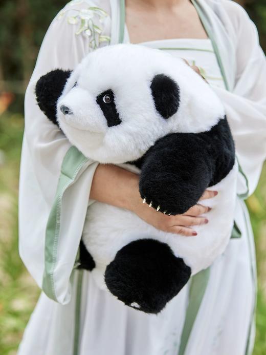 熊猫崽崽公仔 商品图1