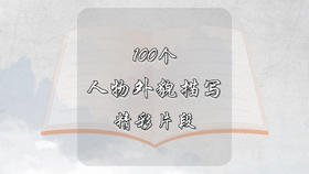 100个人物外貌描写精彩片段