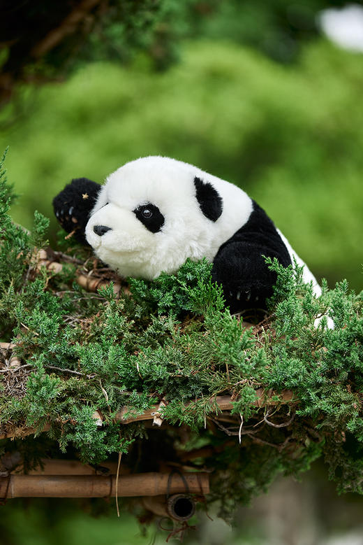 熊猫崽崽公仔 商品图10