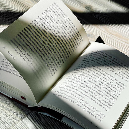 莫扎特的女人 他的家庭、朋友和音乐 独角兽文库 精装 莫扎特传记 经典文学 商品图13