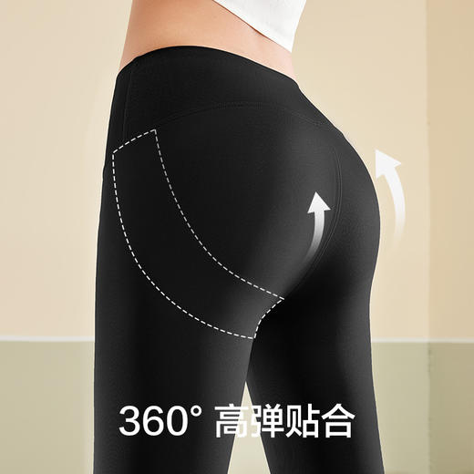 有棵树无痕鲨鱼打底裤C-L4007 商品图4