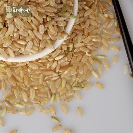 有机糙米 商品图2