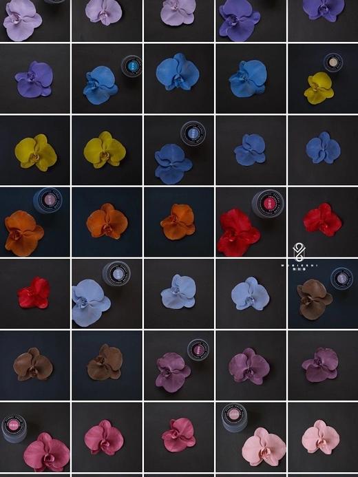 可利美色彩大师优质鲜花喷漆【450ML/快递发货】3瓶起发 商品图5