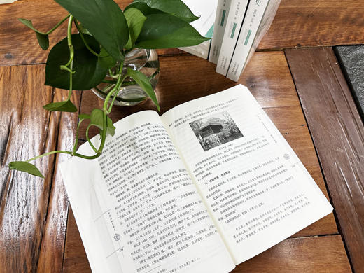 正版 中国园林美学史 艺术美学史 曹林娣 沈岚著 山西教育出版社出版 商品图3