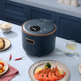 北欧欧慕睿斯低糖电饭煲NM-FB1301