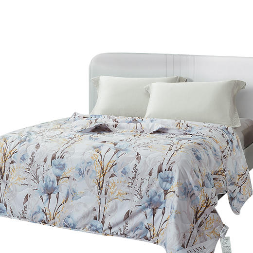 富安娜微风拂语印花抗菌被 商品图2