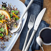 WMF Nova 餐具4件套不锈钢西餐牛排组合餐勺餐刀餐叉茶匙 商品缩略图5