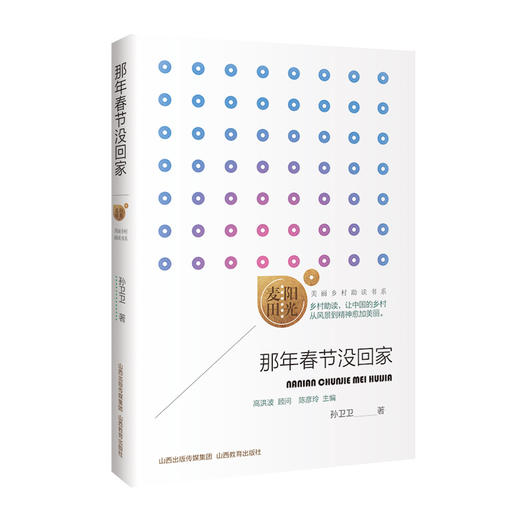 正版 阳光麦田第二季 那年春节没回家 孙卫卫著 中国当代散文集 山西教育出版社出版 商品图0