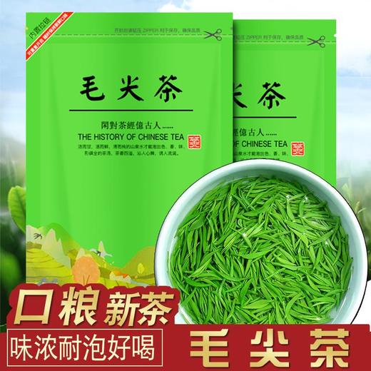 【浓香型茶叶！高山云雾绿茶】毛尖茶叶新茶散装绿茶高山云雾绿茶-觅食坊健康 商品图0