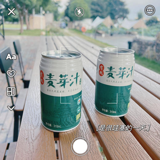 有机麦芽汁(箱规12罐) 商品图0