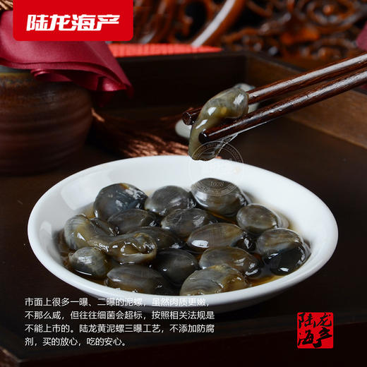 6205陆龙兄弟300g海诺3A黄泥螺 商品图5