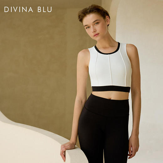 DIVINABLU维也纳系列迪唯纳启航文胸41 商品图1