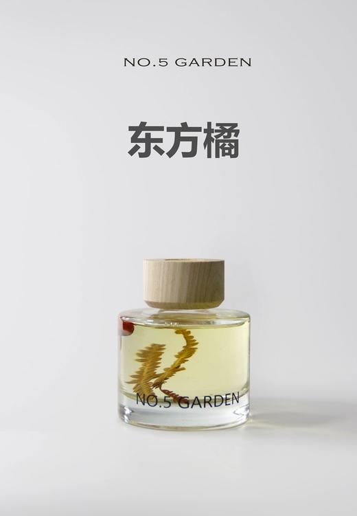 NO.5GARDEN干花无火香薰 商品图7