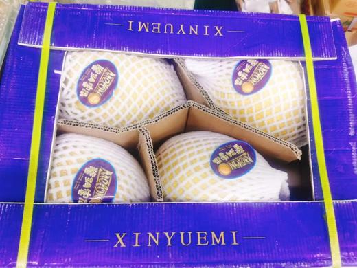 馨月蜜瓜一个 商品图2
