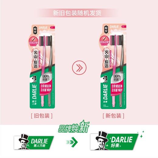 【品牌直发】好来（原黑人）牙刷火山炭洁两支装T51V备长炭软毛去牙渍小巧刷头-批发 商品图1