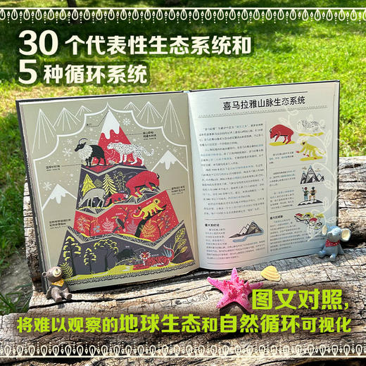 地球生命笔记:生态系统的奥秘 商品图2
