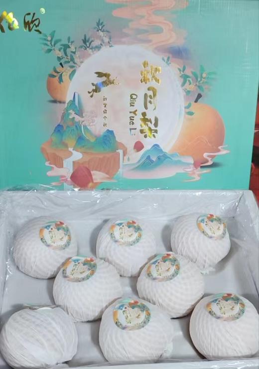 秋月梨(7-9只，约8斤)    (仅限江浙沪皖） 商品图0