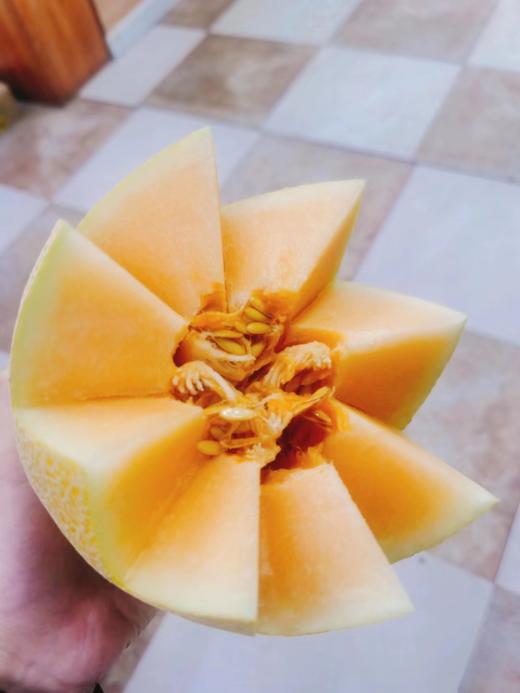 馨月蜜瓜一个 商品图3