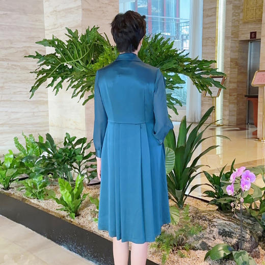 圣三利女装 连衣裙SL121L13 商品图2