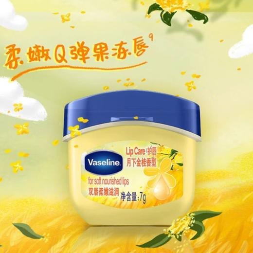 【品牌直发】凡士林润唇膏西瓜味唇膏桂花味保湿滋润防干裂经典修护唇油7g 商品图2