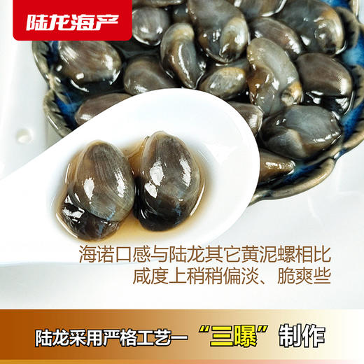 6205陆龙兄弟300g海诺3A黄泥螺 商品图3