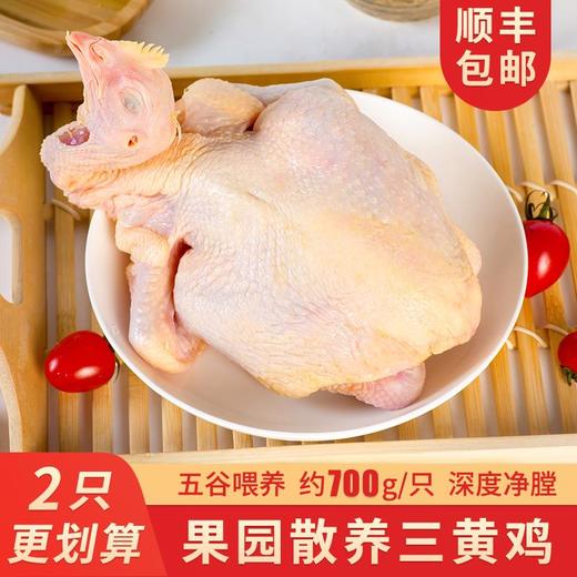 【农家散养！超值土鸡2只装】三黄鸡笨鸡走地鸡约700g整只冷冻生鲜鸡肉-觅食坊健康 商品图0