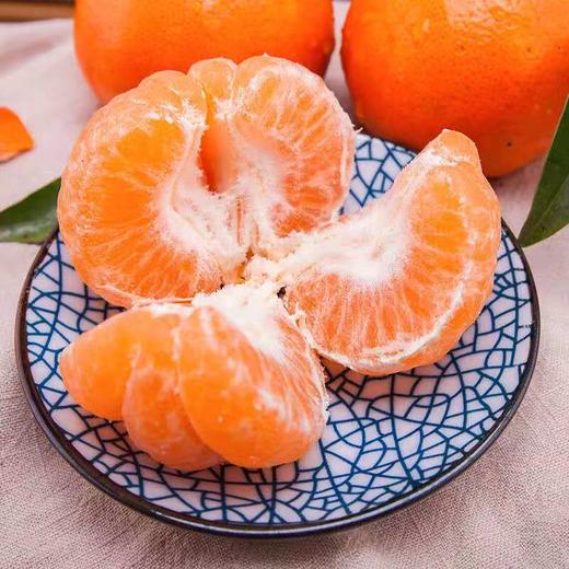 上林县精选沃柑大果 商品图1