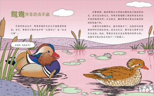 《十万个冷知识》第一辑（共4册） 商品图11